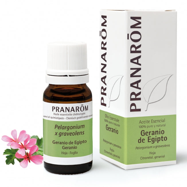 Egyptian Geranium Essential Oil | Pranarom 